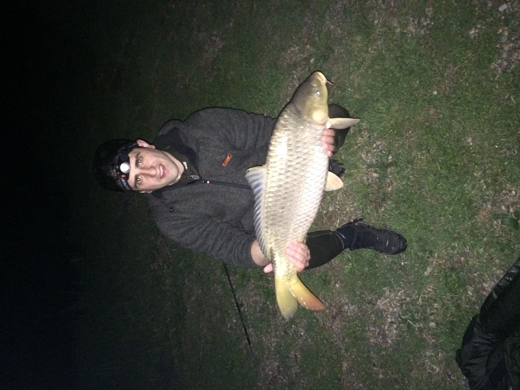 Balta mobydick dorlot - image1.jpg